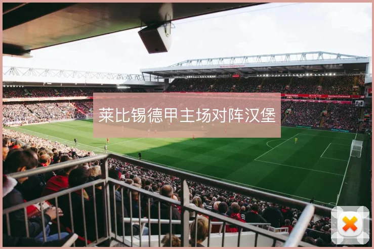 莱比锡德甲主场对阵汉堡