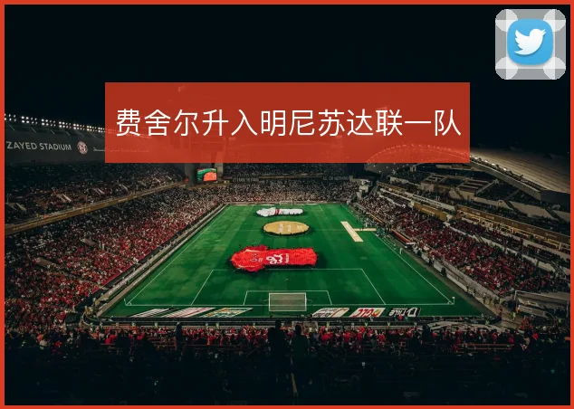 费舍尔升入明尼苏达联一队