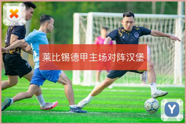莱比锡德甲主场对阵汉堡
